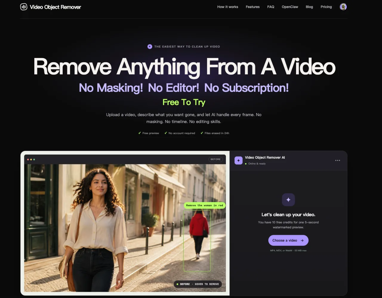 Video Object Remover logo